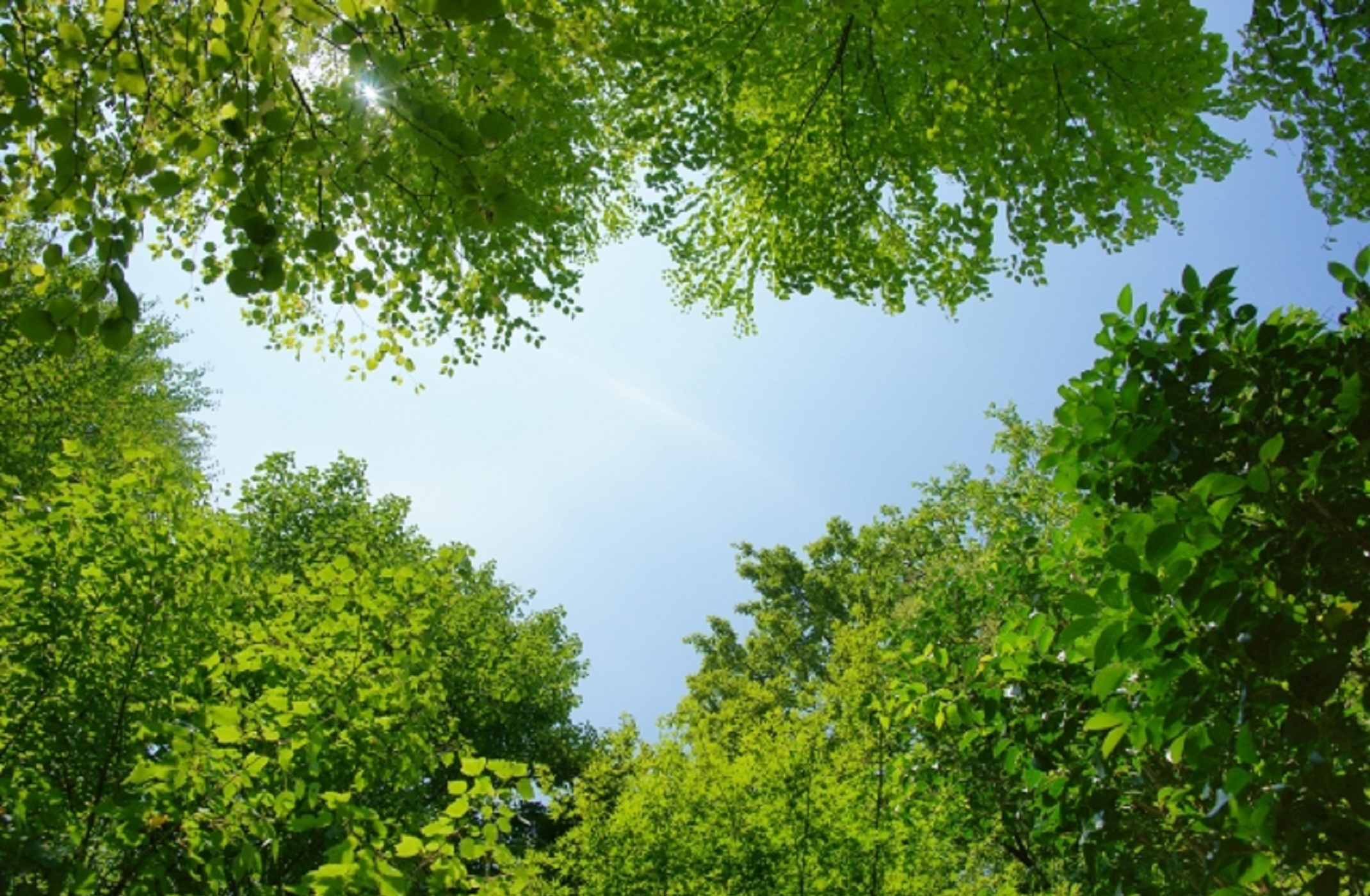 合同会社はーとらんど